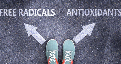 Why Antioxidants are so Important