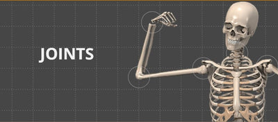 Why Do Our Bones and Joints go Bad?