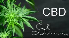 The benefits of CBD