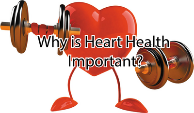 Why is Heart Health Important?