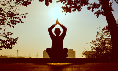 Why Meditate?