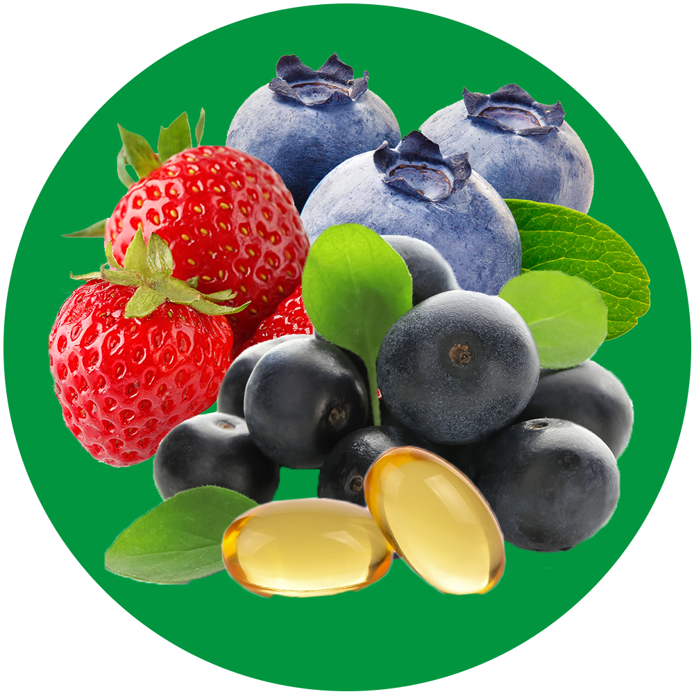 Multivitamins & Minerals