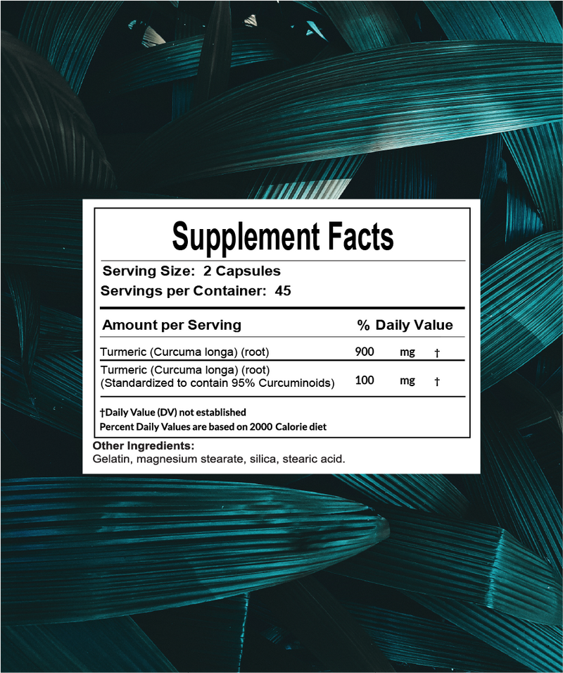 Turmeric Curcumin 1000mg